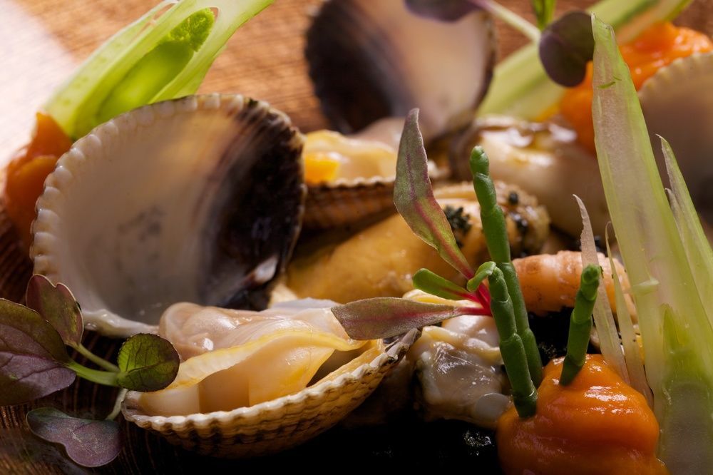 Terhills Hotel Maasmechelen Εξωτερικό φωτογραφία
